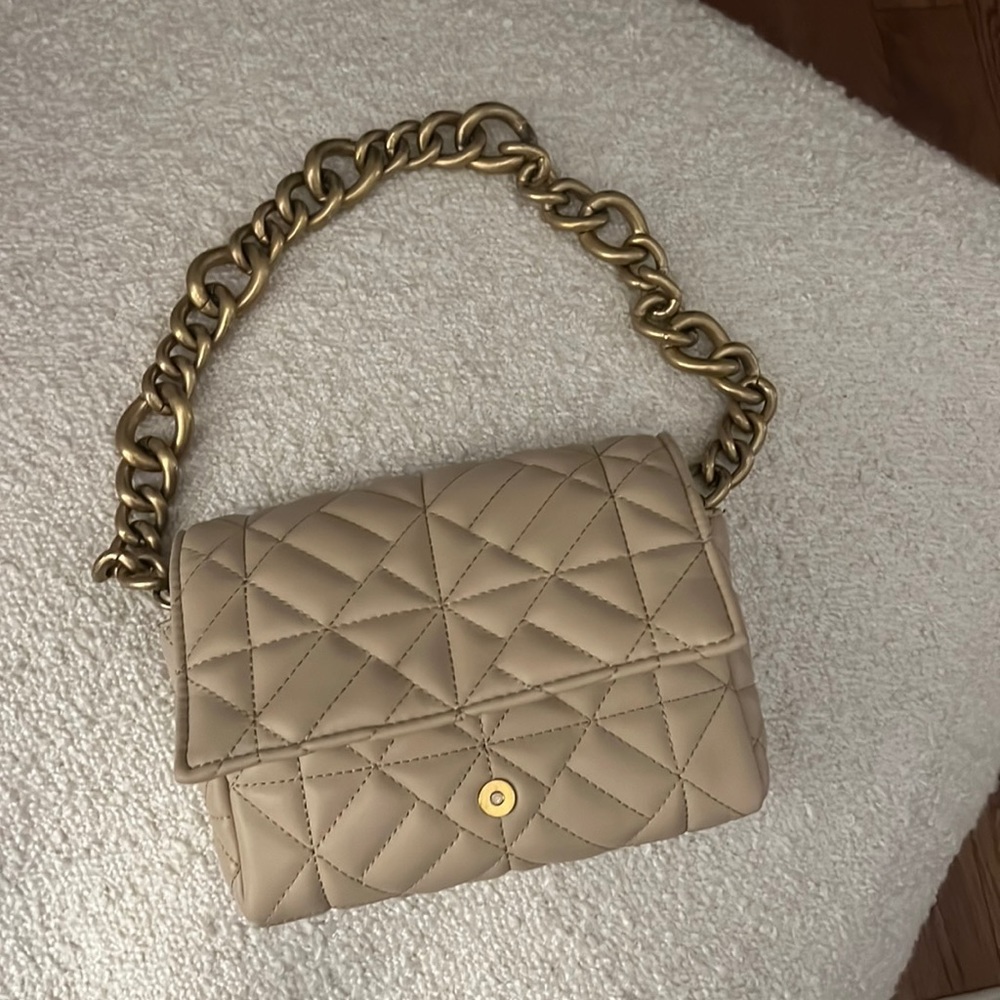 Zara Gold Chain Purse